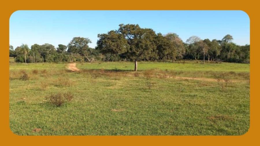 Fazenda com 70 Hectares de Terras, Fazenda Barreiro Preto - Caracol/MS