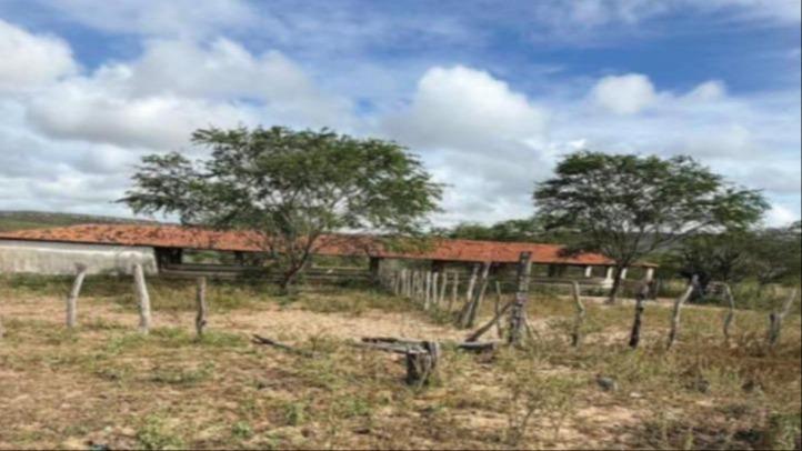 Fazenda Pitombeira com 133 hectares ou faixa de 400 tarefas - Santa Brigida/BA