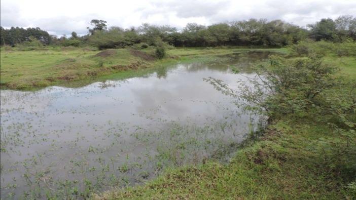 Investimento - Imóvel Rural com Área de 27 hec. - Distrito de Ferreira - Cachoeira do Sul/RS