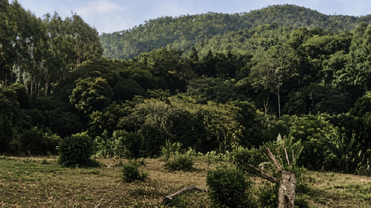 1.210.000 m² de Terra em Alto Laranjal, Paulo Lopes/SC — Conheça Esta Oportunidade!