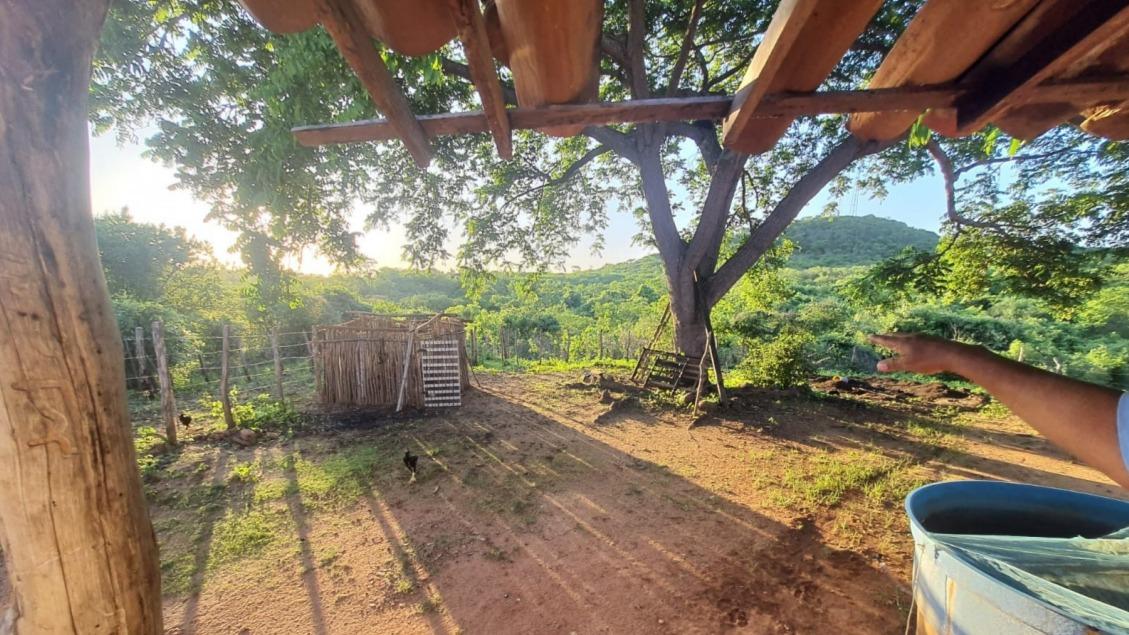 Imóvel Rural, com área de 30 hectares, situado na Rodovia CE 065, Maranguape/CE