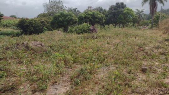 Terreno na Zona Urbana, com área de 13,23 hectares, situada no Sítio denominado Estrela, Barbalha/CE