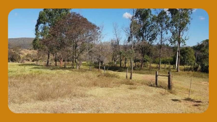 Fazenda Bandeira com área total de 306.4408ha - Gleba Brejão III - Wanderlandia/TO